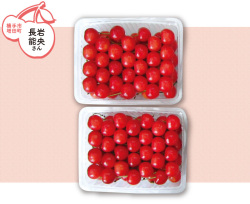横手市増田町 長岩能央さんの紅秀峰 特秀・L～2Lサイズ　約４００g×2パック（手詰め)