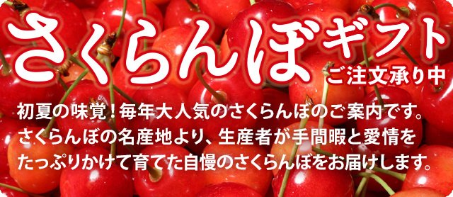 2026さくらんぼギフト承り中