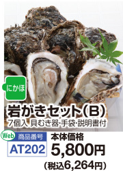 岩がきセットB