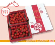 山形県東根市 佐藤錦 秀品・L～2Lサイズ　約３００ｇ×2パック（バラ詰め)
