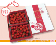 山形県東根市 紅秀峰 秀品・L～2Lサイズ　約３００ｇ×2パック（バラ詰め)