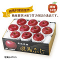 【AT125　全国送料一律660円（税込）】青森サンふじ飛馬　糖度１４　L-Mサイズ8～10玉（約2.5ｋｇ）