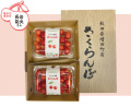横手市増田町 長岩能央さんの佐藤錦 特秀・L～2Lサイズ　約２５０ｇ×２パック（手詰め）