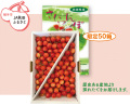 横手市 JA秋田ふるさと佐藤錦 秀品・L～2Lサイズ　約１ｋｇ（バラ詰め)