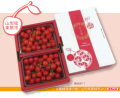 山形県東根市 佐藤錦 秀品・L～2Lサイズ　約５００ｇ（バラ詰め)