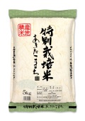 秋田県産　特別栽培米あきたこまち5kg【送料別途】