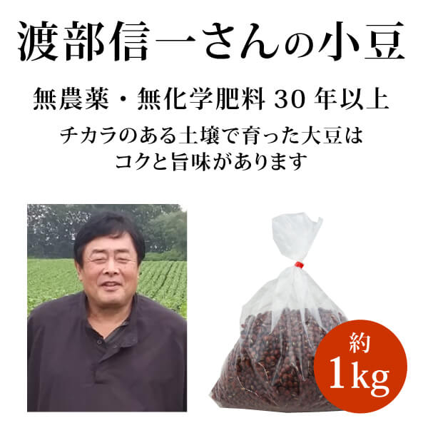 小豆　長野県産小豆 10kg　磨き薬品不使用　少し訳あり　X線検査済　小粒 渡部信一さんの小豆1kg 無農薬 無化学肥料栽培 北海道産