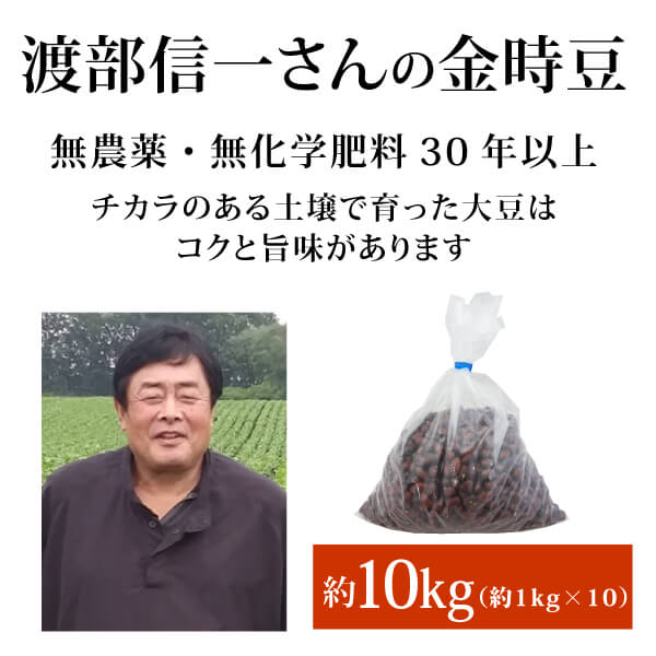 大正金時　北海道産　渡部信一さんの金時豆約10kg（約1kg×10袋）　無農薬