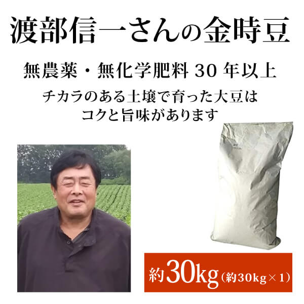 ke3877 渡部信一さんの金時豆約30kg（約30kg×1袋）【生産者直送品（お届けまで要3－5営業日）／送料無料（全国発送可）／単品代引き不可】