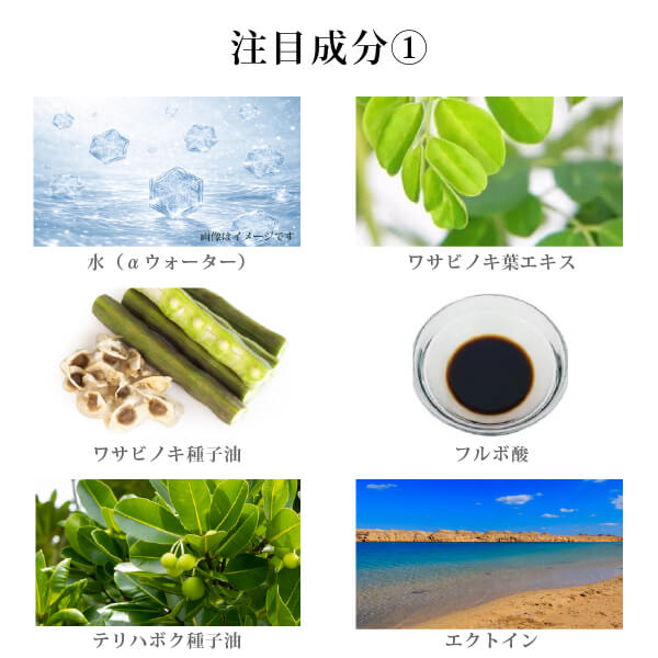モリンガブライトデュアルリッチ