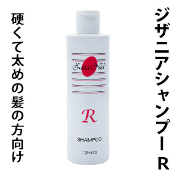 <完売終了しました>bi2009 ジザニアシャンプーＲ（300ml）