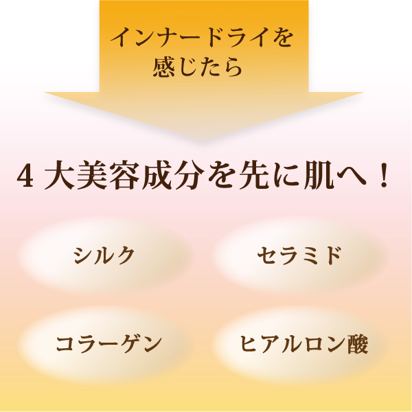 モイスチャーベース化粧水（導入化粧水）＋アルピニエッセンス