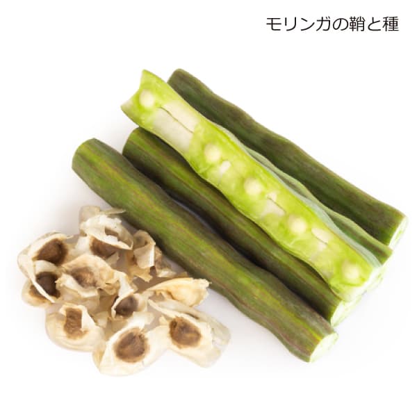 モリンガの鞘と種子
