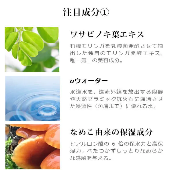 モリンガブライトミルク