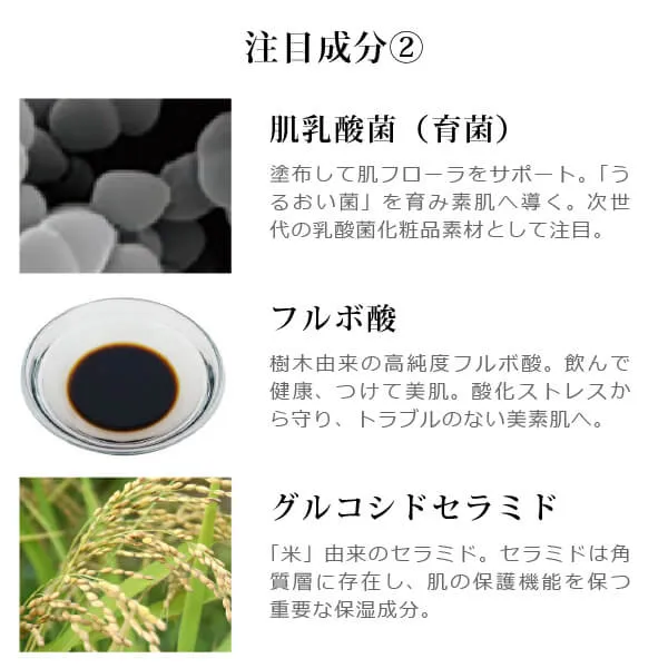 モリンガブライトミルク