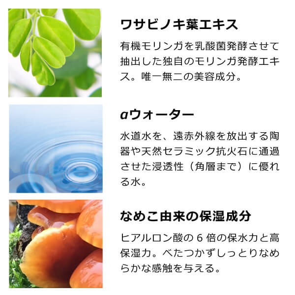 モリンガブライトミルク