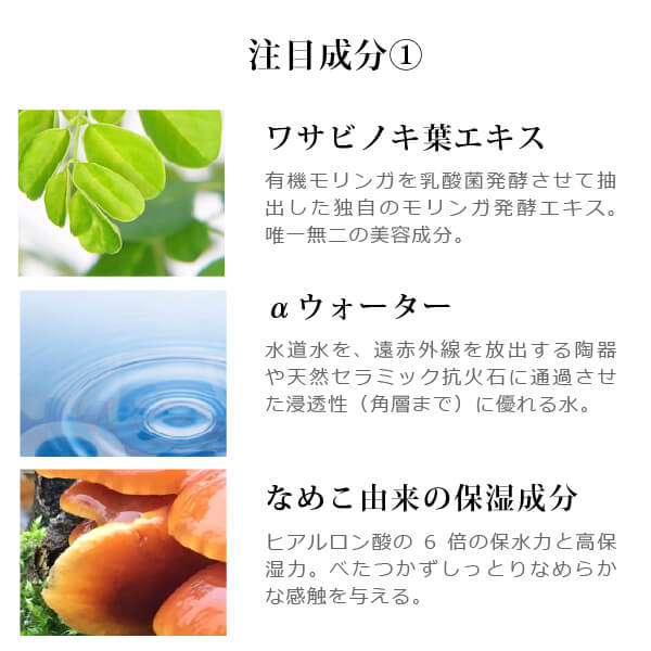 モリンガブライトミネラル化粧水