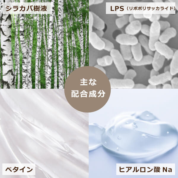 ホワイトバーチモイストウォーター主な主要成分