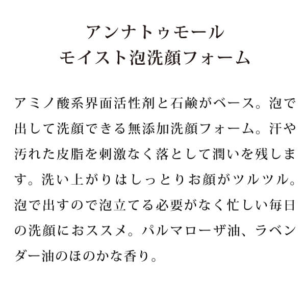 アンナトゥモールモイスト泡洗顔フォーム