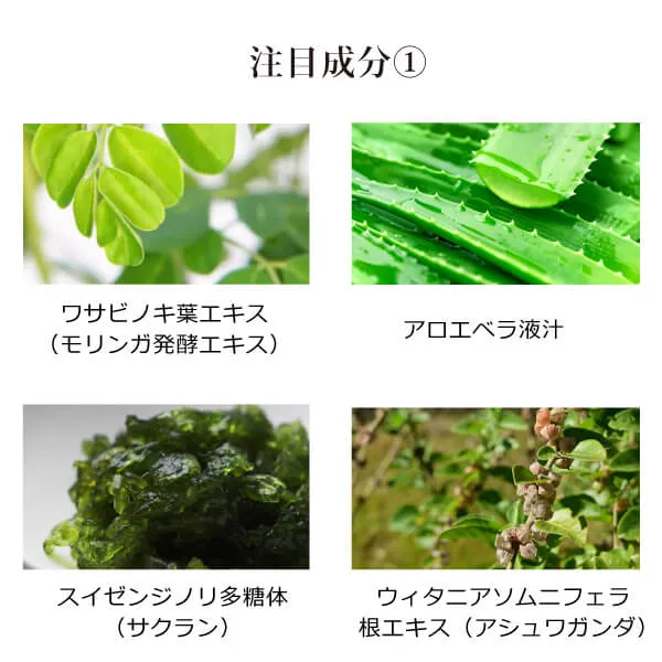 モリンガブライトセラム30ml