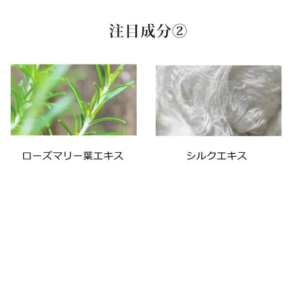 モリンガバランスボディミルクの注目成分