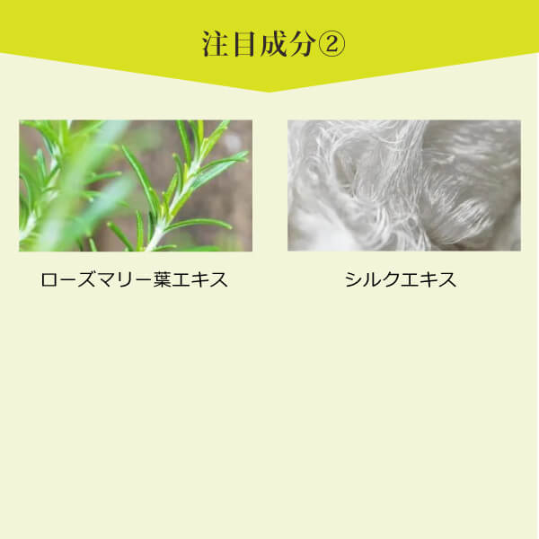 モリンガバランスボディミルク