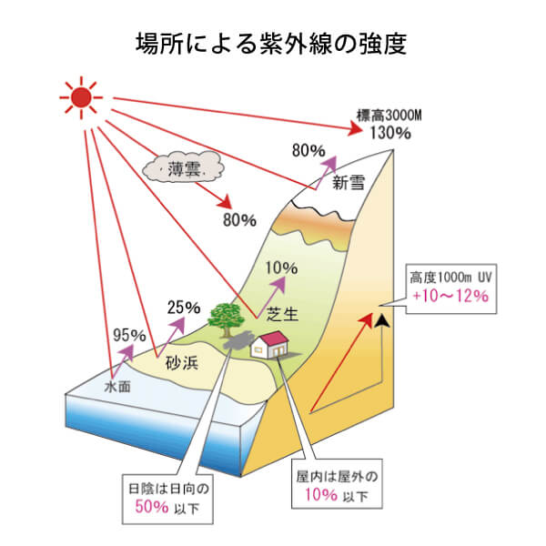 タマヌスキンオイル30ml