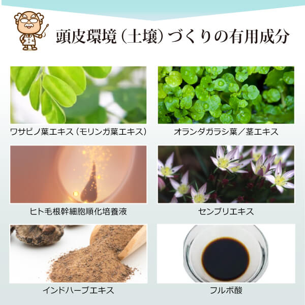 魂のハッピースカルプローション