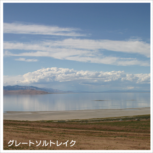 グレイトミネラル 天然マルチミネラル サプリ 濃縮液