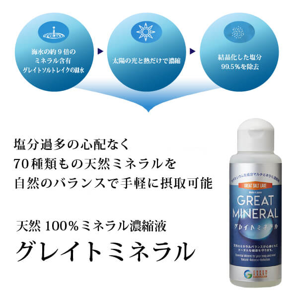 グレイトミネラル 天然100％ マルチミネラル サプリ 濃縮液