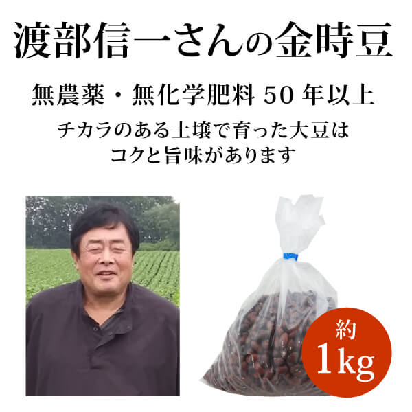 ke3620 渡部信一さんの金時豆1kg【正規品／無農薬・無化学肥料（植物堆肥／栽培期間中化学合成資材不使用）栽培金時豆／品種は「大正金時／固定種」／北海道産】