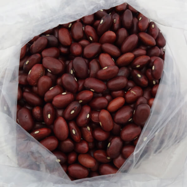 渡部信一さんの金時豆10kg[正規品] 無農薬 無化学肥料 北海道産