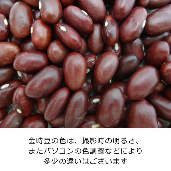 渡部信一さんの金時豆10kg[正規品] 無農薬 無化学肥料 北海道産