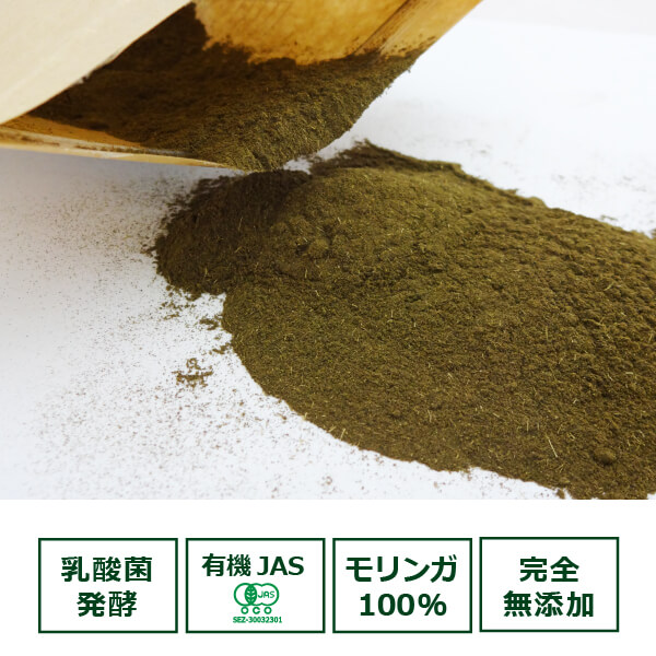 オーガニック発酵モリンガパウダー粉末