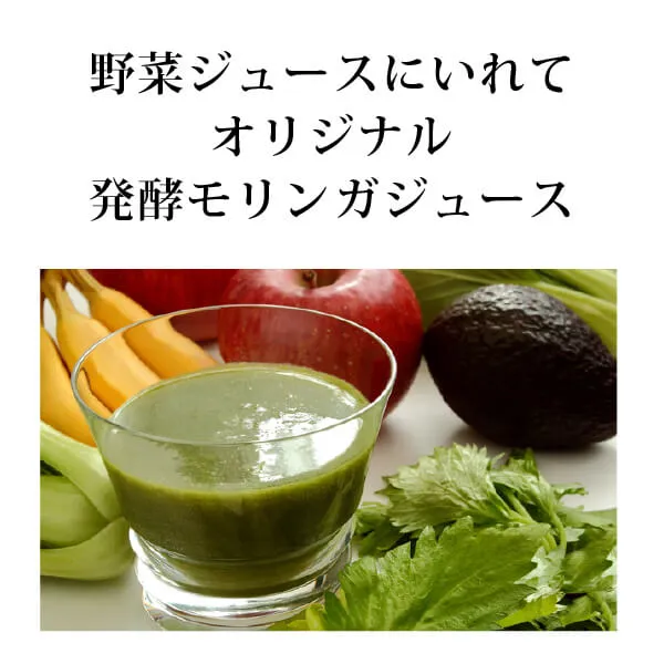 オーガニック発酵モリンガパウダー60g（有機JAS）