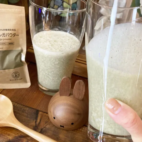 オーガニック発酵モリンガパウダー60g（有機JAS）