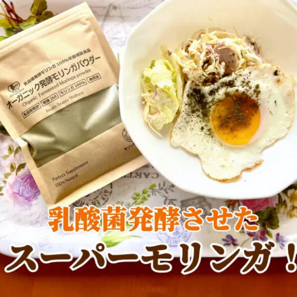 オーガニック発酵モリンガパウダー60g（有機JAS）