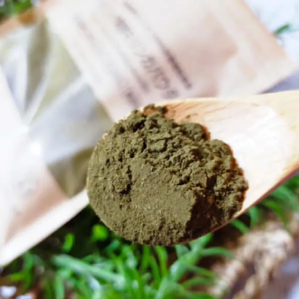 オーガニック発酵モリンガパウダー60g（有機JAS）