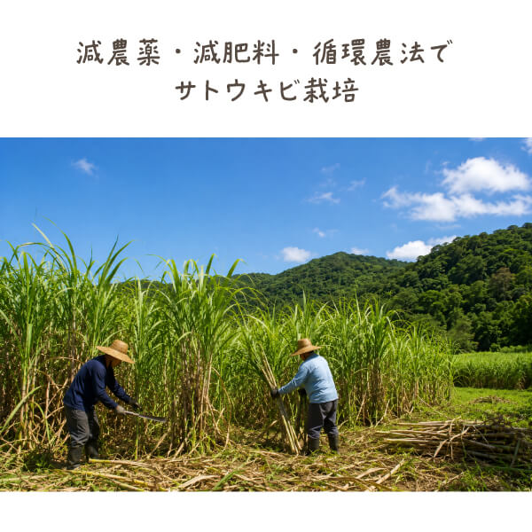 大竹名人の純黒糖