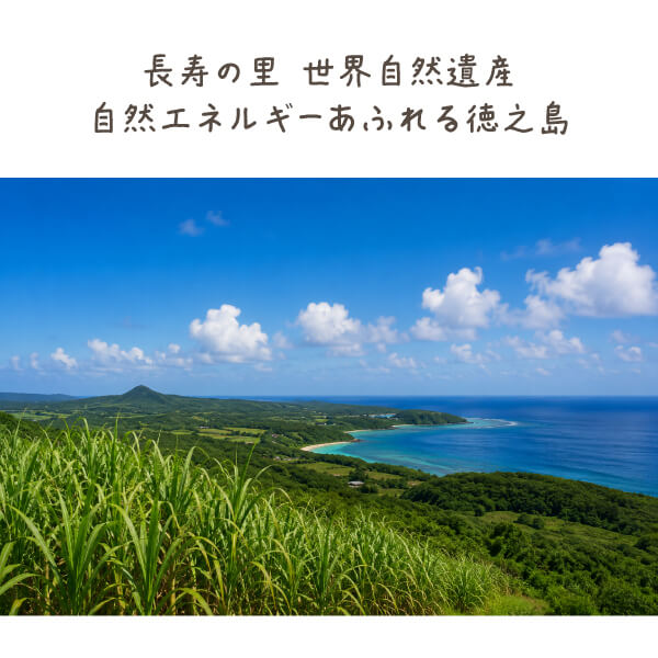 大竹名人の純黒糖