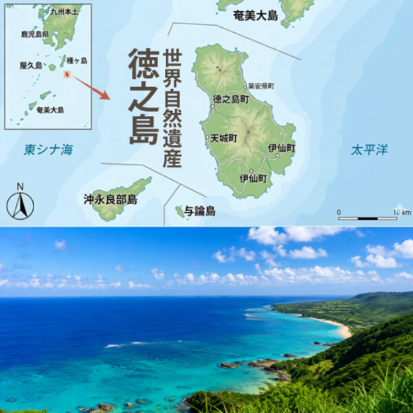 大竹名人の純黒糖