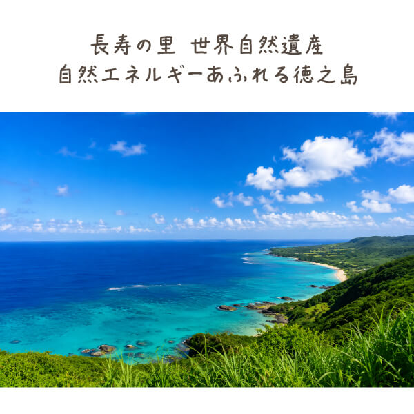 ヤマ・シークニン果汁