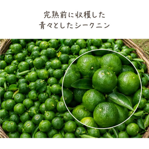 ヤマ・シークニン果汁