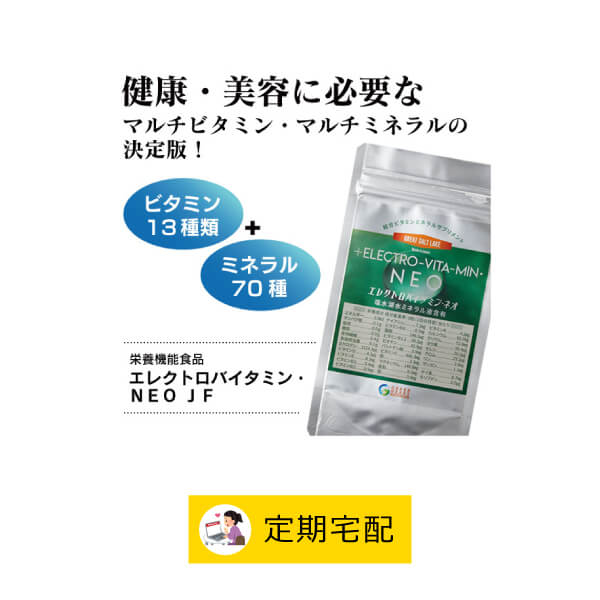 tk3944 【定期宅配】エレクトロバイタミン・NEO（280mg×270粒）