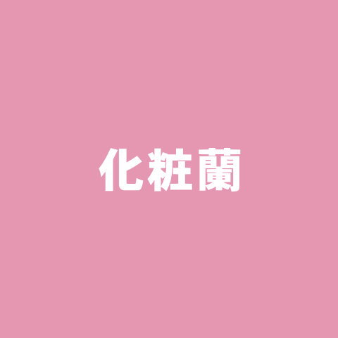 化粧蘭