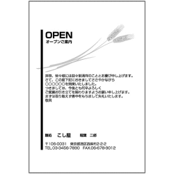 はがき　1色