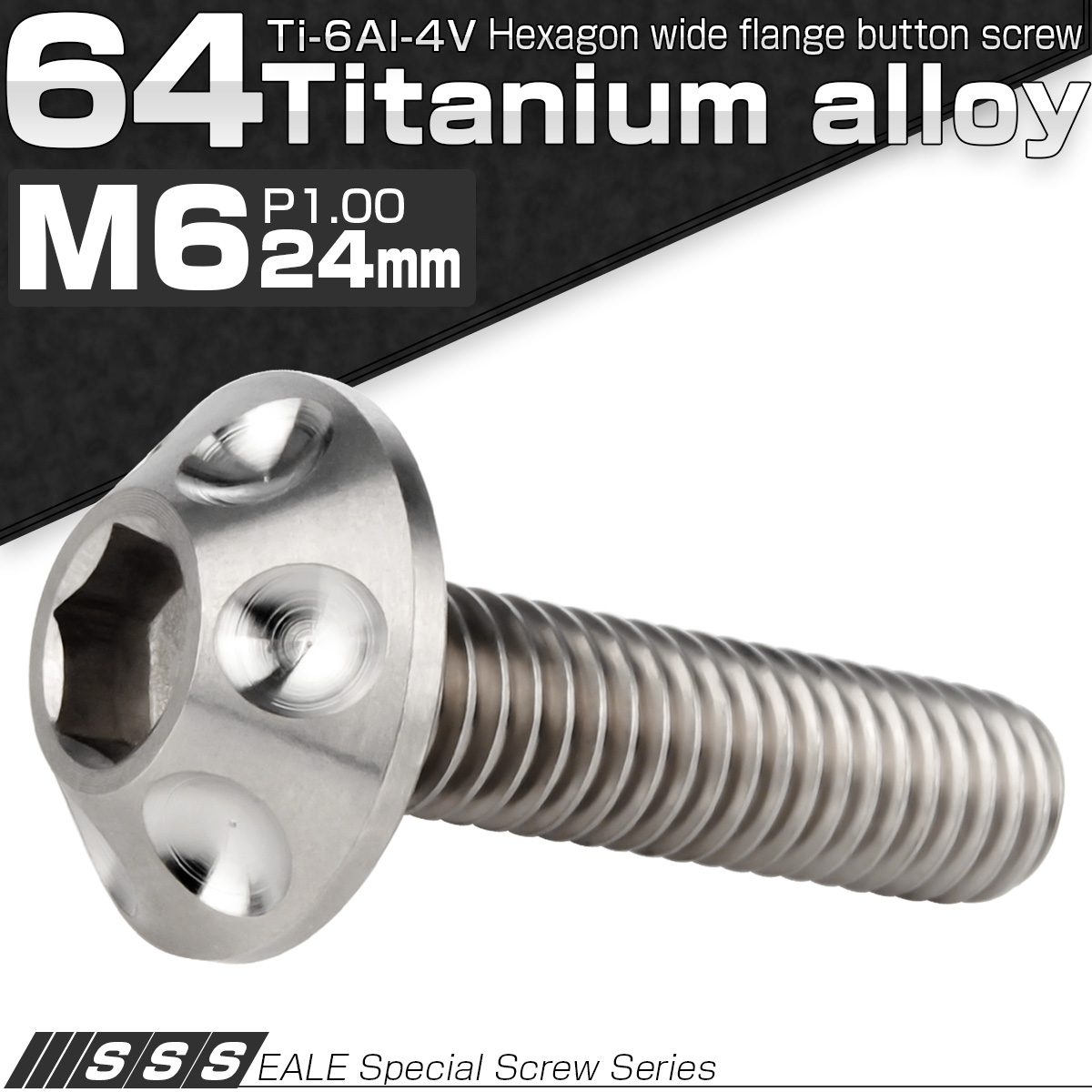 チタンボルト M6×24mm P1.00 ボタンボルト 頭部径14mm 六角穴 グレー 素地色 ホール JA1129 【メール便可】