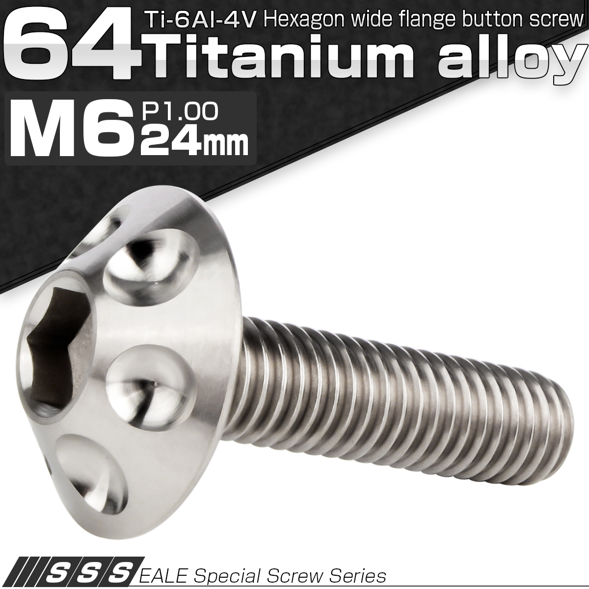 チタンボルト M6×24mm P1.00 ボタンボルト 頭部径16mm 六角穴 グレー 素地色 ホール JA1130 【メール便可】