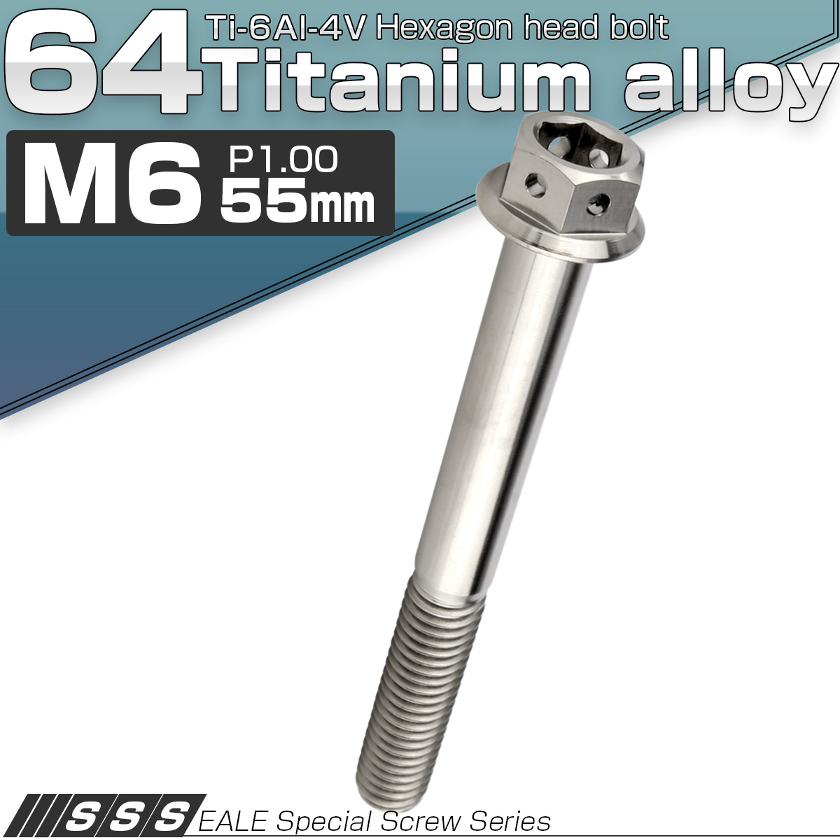 チタンボルト M6×55mm P1.0 六角ボルト フランジ付き 六角穴付きボルト シルバー JA741 【メール便可】