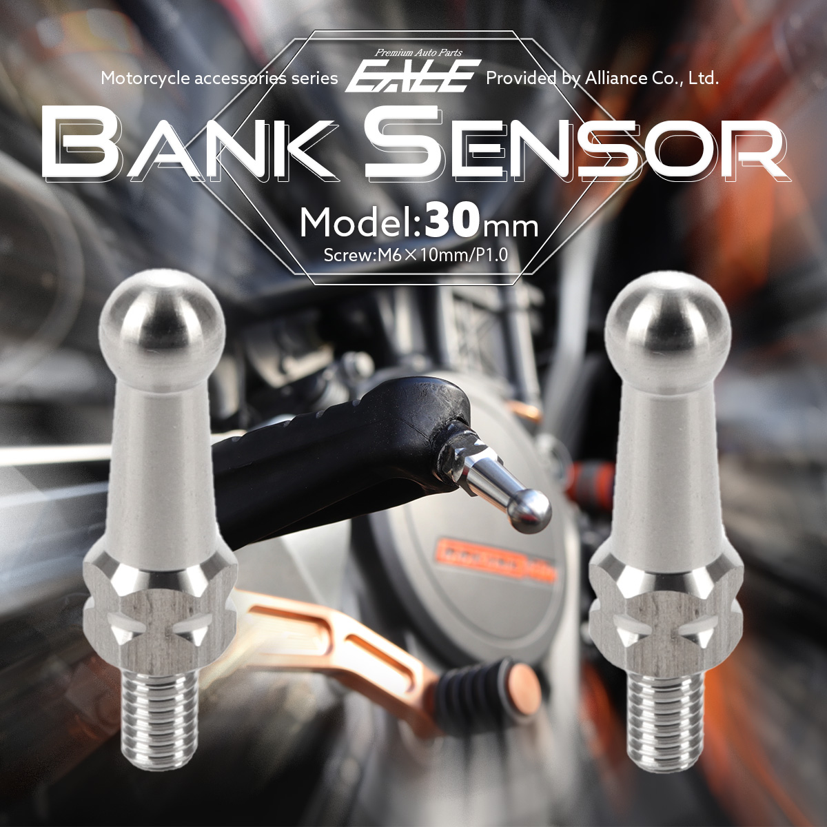 30mm バンクセンサー 汎用 ネジ M6×10mm P1.0 補修 交換用 ドレスアップにも シルバー 2個セット S-1038-2SET 【メール便可】